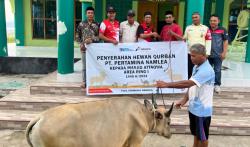 Pertamina Patra Niaga Regional Papua Maluku Salurkan 128 Hewan Kurban Bagi Masyarakat