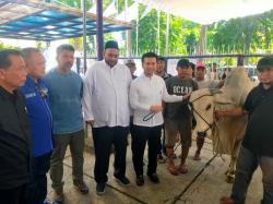 Partai Demokrat Jatim Kurban 7 Sapi dan 8 Kambing di Momen Idul Adha 2024