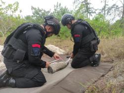 Lagi Asyik Cari Kerang, Warga Justru Temukan Mortir Kapal Perang di Perairan Teluk Dalam Belitung