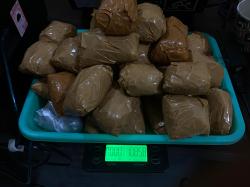 Pria asal Karawang Jalan-jalan ke Purwakarta Ditangkap Polisi, Soalnya Bawa 1 Kg Ganja