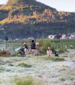 Suhu Minus, Komplek Candi Pandhawa Dieng Diselimuti Es