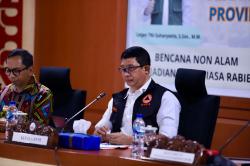 BNPB Pastikan NTT Bebas Rabies di Bulan Desember 2024