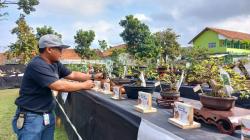 Melihat Suasana Pameran dan Kontes Bonsai di Kota Tasikmalaya