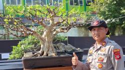 Mengenal Sosok Iptu Jajat Jatnika, Kapolsek Tanjungjaya Tasikmalaya yang Hobi Bonsai