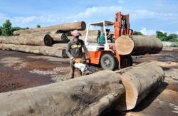 Perusahaan Manufaktur dan Pengolahan Kayu Ini Bidik Pasar Mancanegara