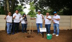 Dukung Keberlanjutan Lingkungan, Jasa Tirta II Tanam Pohon Serentak di Seluruh Wilayah Kerja