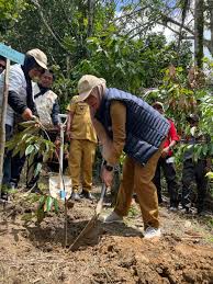 Ribuan Pohon Ditanam di Luwu Utara sebagai Komitmen Jaga Kelestarian Alam