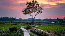 Dikelilingi sawah Bikin Tenang, 5 Desa di Cirebon Patut Dikunjungi