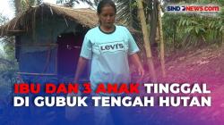 Kisah Pilu Marni dan Tiga Anaknya, Hidup Terpinggir di Gubuk Tengah Hutan