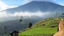 Takjub Bisa Bersua Warga Albino, 6 Desa di Garut Layak Didatangi