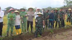 TNI Jalin Kerjasama Dengan Kementan Dalam Program Ketahanan Pangan di Garut