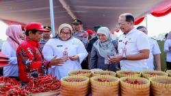 Teknologi Budi Daya Cabai Ramah Lingkungan Sukses Dikembangkan di Sragen