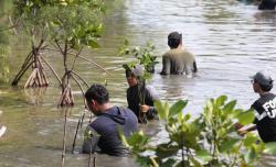 Peminat Garam Ibu Bijak Bertambah, Keuntungan Garsindo Sebagian untuk Lingkungan