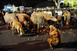 Keraton Solo Gelar Kirab Malam 1 Suro, Ini Jadwal, Prosesi dan Rutenya