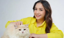 Nagita Slavina Diusul Jadi Wakil Bobby Pada Pilgub Sumut 2024