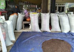 Harga Cengkeh di Lebak Tembus Rp 120 Ribu Perkilogram