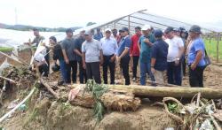 Dampak Banjir di Waiheru, 1,5 Hektar Lahan Sayur Musnah