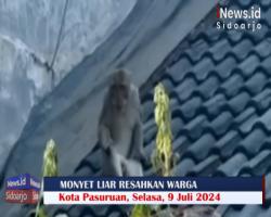 Seekor Monyet Ekor Panjang Berkeliaran di Pemukiman, Resahkan Warga