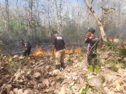 Musim Kemarau, Satu Hektar Kawasan Hutan Jati Terbakar