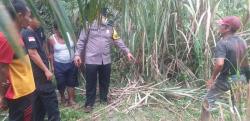 Diduga Tersambar Petir, Kades di Sergai Ditemukan Tewas di Ladang Sawit