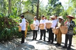 Presiden dan Mentan Amran di Lampung Barat, Pacu Produksi Kopi dan Peningkatan Kesejahteraan Petani