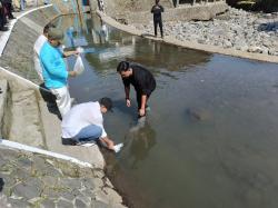 Rangkaian HJC ke 347, 60 Ribu Bibit Ikan Ditebar di Sungai Cianjur