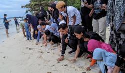 Bacabup Jepara Witiarso Utomo Tanam Mangrove hingga Lepasliarkan Tukik di Karimunjawa