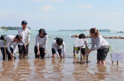 Penanaman Mangrove, Terumbu Karang, dan Pelepasan Tukik di Karimunjawa