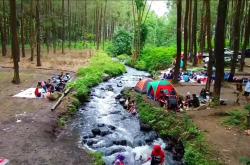 Pesona Wisata Hutan Kali Pinusan di Lumajang, Cocok untuk Healing Keluarga