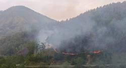 Kebakaran Hutan Lindung di Samosir Diduga Dibakar Orang, Begini Penjelasan LHK Sumut