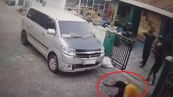 Sadis! Kucing di Kolong Mobil Ditembak 3 Kali oleh Koboi Raja Tega sampai Mati