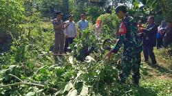 Khawatir Disalahgunakan, Puluhan Pohon Kecubung di Cianjur Ditebang-Dibakar