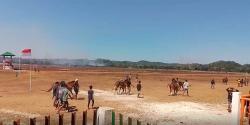 Songsong HUT RI ke-79, 595 Kuda Pacu se-Pulau Sumba Semarakkan Gelora Pada Eweta