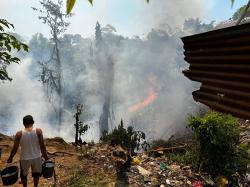 Kandang dan Sapi Terbakar, Peternak Merugi Hingga Puluhan Juta Rupiah