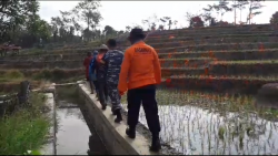 Seorang Warga Desa Wanarata Cari Ikan di Kali Dilaporkan Hilang, Sudah 2 Hari Belum Ditemukan