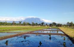 Prakiraan Cuaca Hari Ini untuk Wilayah Ciamis dan Sekitarnya, Sabtu 20 Juli 2024