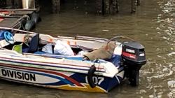 Speed Boat Angkut 7 Penumpang Kecelakaan di Teluk Balikpapan, Satu Meninggal dan Satu Hilang