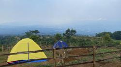 Berwisata di Sarang Semut Camping Ground: Pengalaman Unik di Tengah Kebun Teh