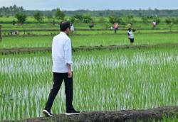 Momen Jokowi Tinjau Simulasi Drone Tabur Pupuk di Papua Selatan