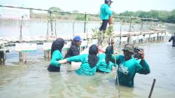 Lestarikan Ekosistem Laut, Cargill Tanam 16.000 Bibit dan Meresmikan Arboretum  Mangrove Kalimireng