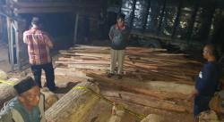 Sawmill Terbesar di Kampar Dibongkar, Sejumlah Kayu Hasil Ilog Disita