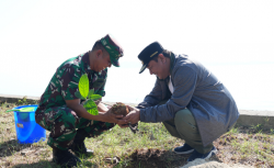 Pemprov Sulbar dan Lanal Mamuju Jaga Ekosistem Laut, Buat Terumbu Karang dan Tanam Pohon