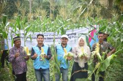 PLN Nusantara Power UP Arun Sukses Panen Perdana Cabe dan Jagung Bersama Kelompok Tani Ujung Jaya