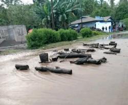 Banjir Lahar Dingin Gunung Lewotobi Terjang  Pemukiman Warga di 2 Desa, Warga Panik  lari kejalan