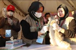 Zona 5 F8, Sediakan Free Vaksinasi Rabies Untuk Hewan Kesayangan