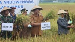 Pertama di Sultra, Bupati Kolaka Timur Abd Azis Luncurkan Program Listrik Masuk Sawah