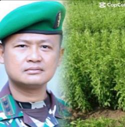 Mulai Dibudidayakan di Mamuju, Berikut 9 Manfaat Daun Stevia untuk Kesehatan Tubuh