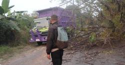 Sigap, Personil Polsek Puloampel Sigap Singkirkan Pohon Tumbang di Jalan Nasional Mangunreja