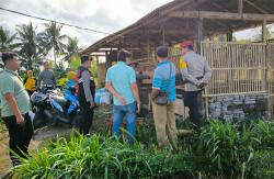 Kandang Dibobol, Pencuri Bawa Kabur 12 Kambing di Kulonprogo