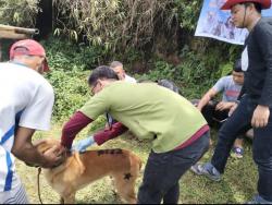 Lebih dari 9 Tahun, Cianjur Aman dari Kasus Hewan Pembawa Rabies